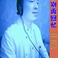 汪燕芳、梯愚入圣 - 别再回忆