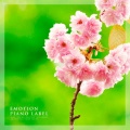 Lulaby - 봄 같은 너 (You Like Spring)