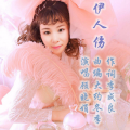 顾晓娟 - 伊人伤