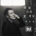 谁能比我更爱你 (DJ小鱼儿版)