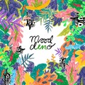 무드인디노 - 미안