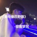 歌者梦梵 - 曾经像匹野狼