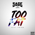 Too Fat (feat. Trina)(Explicit)