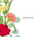 Music Candy - 가족의 사랑만 (Family Love Only)
