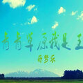 DJ阿奇 - 如果帅是一种错