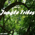 Jungle Tribes (Original Mix)(Remix)