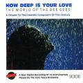 Gary Tesca Orchestra - How Can You Mend A Broken Heart - Instrumental Cover