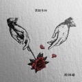 段林希 - 最好的时光