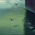 CHINESE - Rainy Road