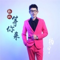 杨宁 - 韩城等你来