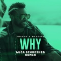 Why (Luca Schreiner Remix)