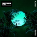 David Guetta、Sia - Flames (Two Can Remix)