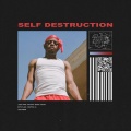 Self Destruction (Clean)