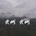 谷友发 - 贵州贵州