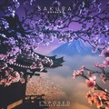 Desren - Sakura
