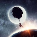 谭笑、张秉君、张伟 - 大明星