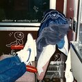 Rock Solid - Doing Fine