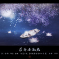 初夏小溪 - 荡舟逐流光