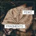 FEWZ - Fragments