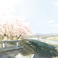 AniFace - 桜の約束