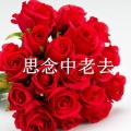刘超 - 思念中老去