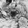 Exos、OHM - Frodi Ambience (Original Mix)