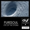 Puresoul - Eye Of The Storm (Original Mix)(Remix)