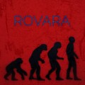 Rovara - Evolutionary Process