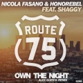 Own The Night (Alex Guesta Tribal Mix)