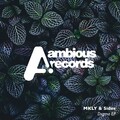 MKLY、Sides - Dxgma (Original Mix)