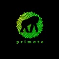 Primate - Realidades Imaginarias