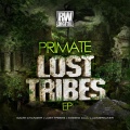 Primate - Game Changer