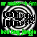 Bad Boy Jungle