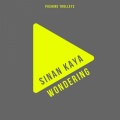 Sinan Kaya - Wondering