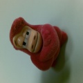 Red Monkey - Beatriz Maria