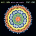 henry kaiser - Parrot