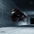 Merikan - Untameable