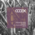 Steam Shape - Equality