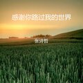 张诗哲 - 感谢你路过我的世界
