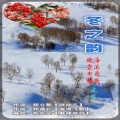 海浪飞歌、傲雪寒梅 - 冬之韵