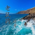 球哥 - 老鼠药