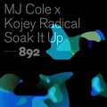 MJ Cole、Kojey Radical - Soak It Up