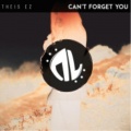 Can't Forget You