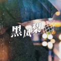 李自颖 - 黑凤梨