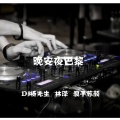 浪子苏颜、林泽、杨硕哥哥 - 抒情慢摇 (Remix)