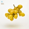 Evan Miller - Suit Of Flowers