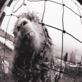 Pearl Jam - Glorified G