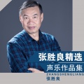 郭午阳 - 桃花笑了