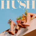 HUSH - 对等关系