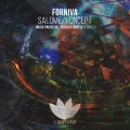 Salome/Koncept